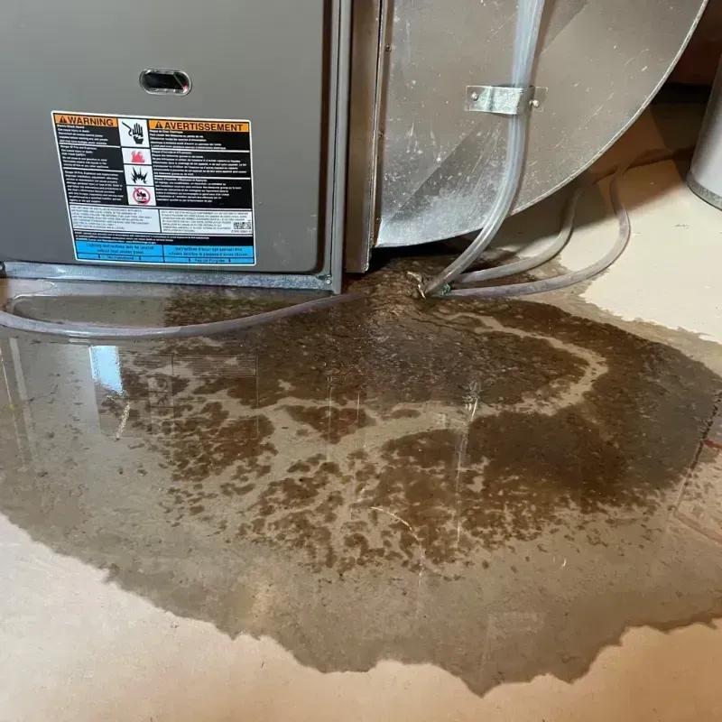 Appliance Leak Cleanup in Harrison, AR